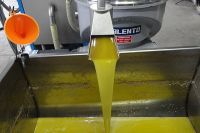 <p>The olive oil comes from the press.</p>